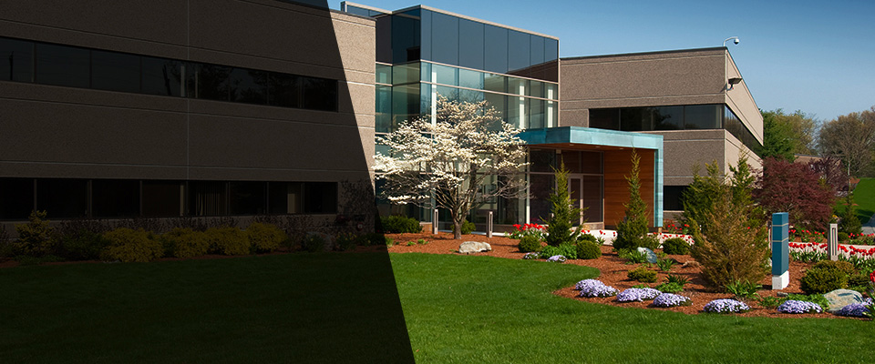 Willard Landscapers