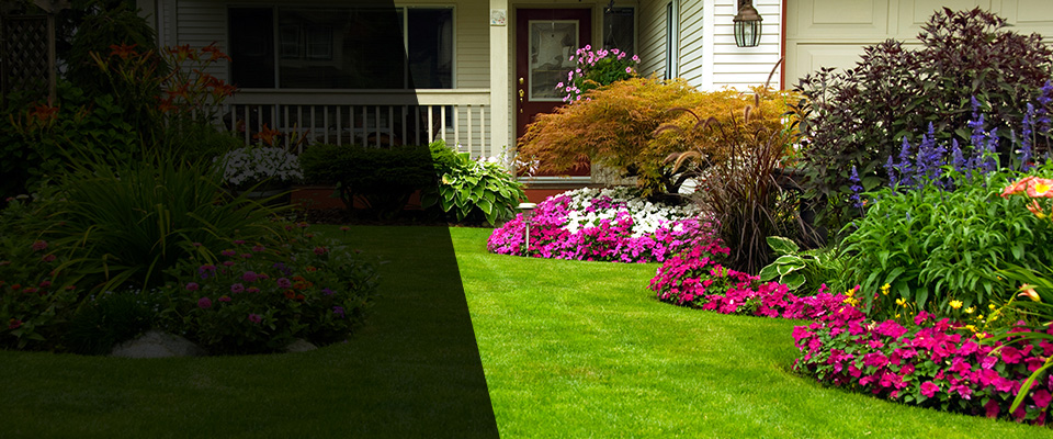 Willard Landscapers